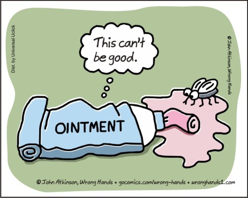 fly in the ointment