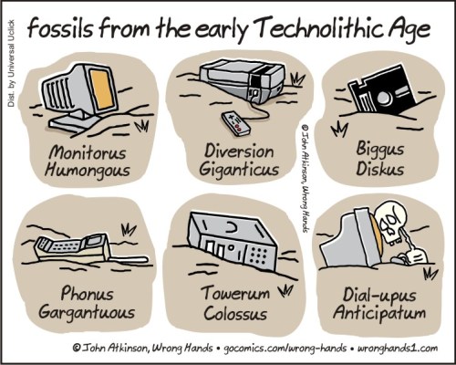 fossils