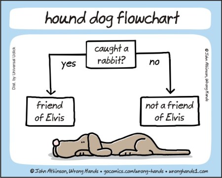 hound dog flow chart