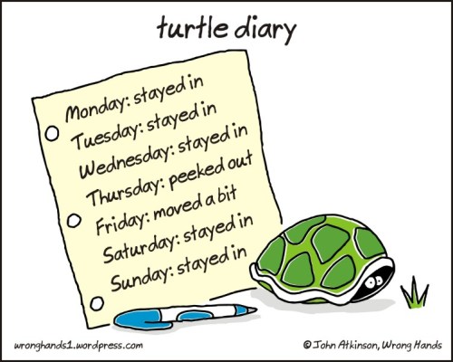 turtle diary
