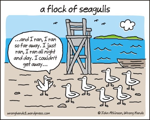 a flock of seagulls