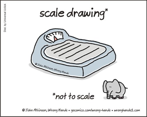 drawing of a scale