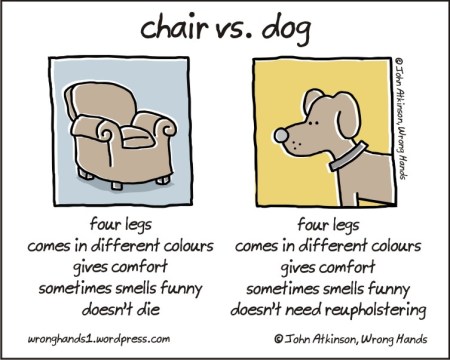 chair vs dog