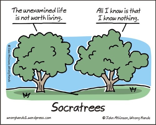 Socratrees
