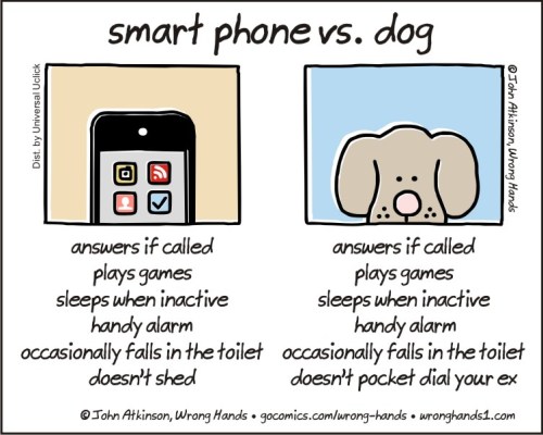 smart phone vs dog